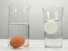 Вкусно и быстро: О свежести яиц (видеорецепт)