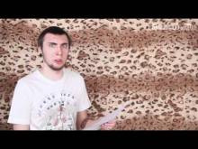 Кадр из +100500 (Эпизод 30. Хрюшка с подогревом)